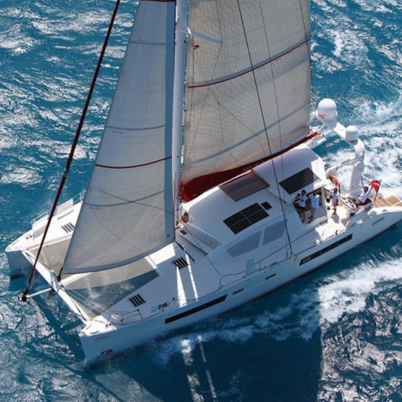 Filet de trampoline - Catana 65