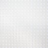 Nautitech 40 Open catamaran net