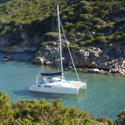 CATANA 39 catamaran net