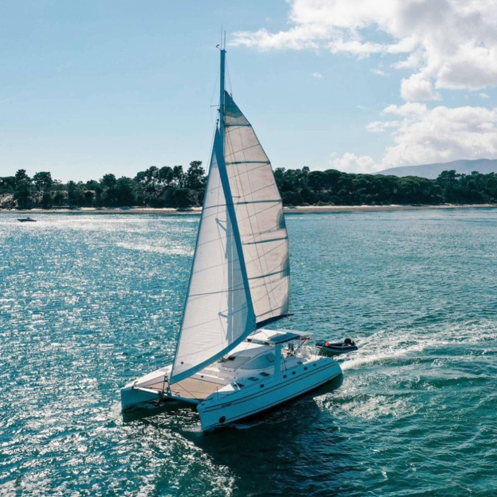 Red de catamarán para CATANA 44