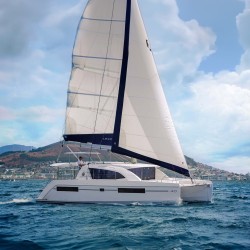 Katamarannetz für Leopard 40