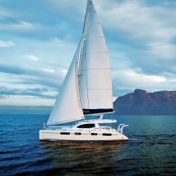 Katamarannetz für Leopard 46