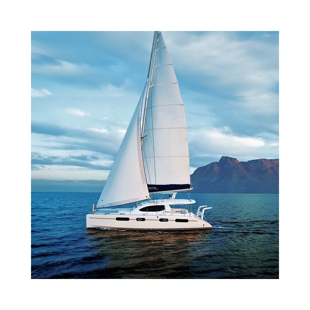Red de catamarán para Leopard 46 Red de catamarán para Leopard 46
