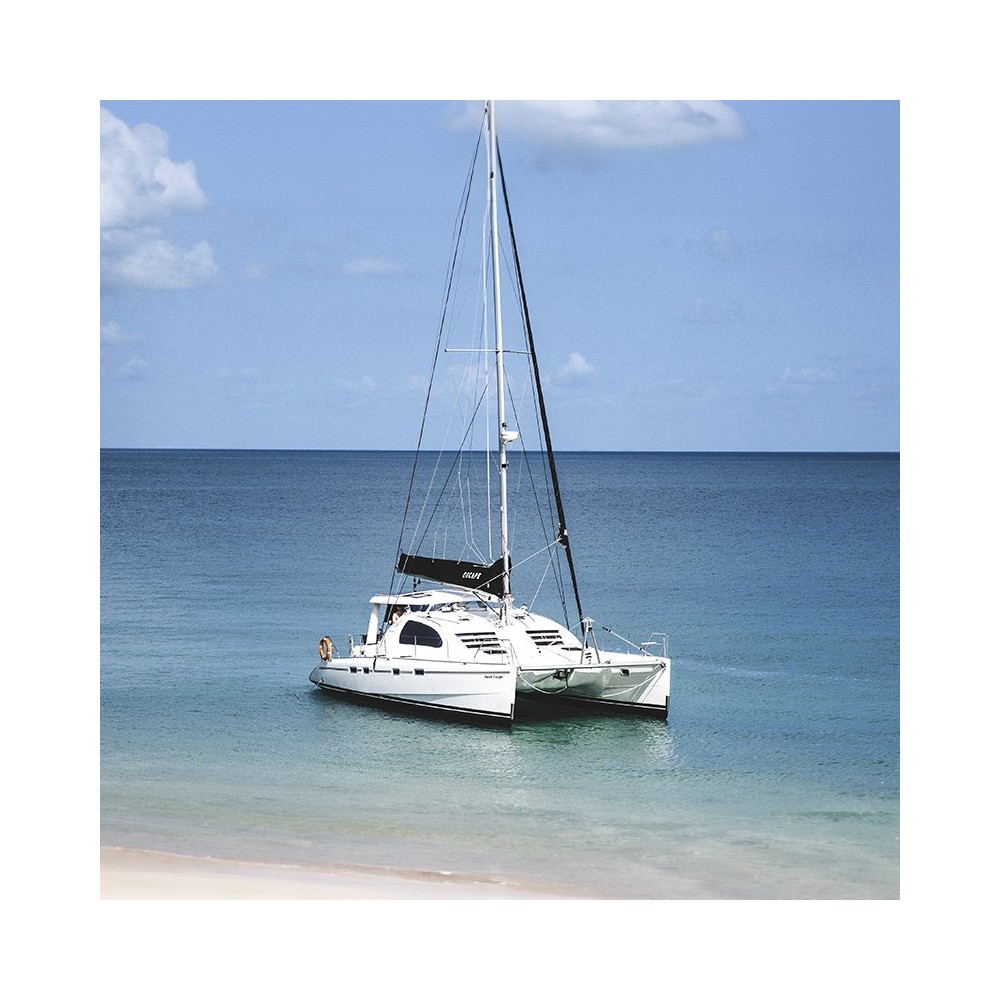 Leopard 43 catamaran nets Leopard 43 catamaran nets