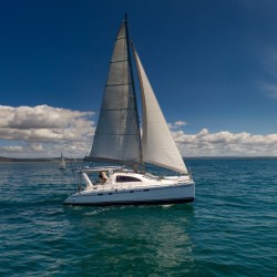 Katamarannetze für Leopard 42
