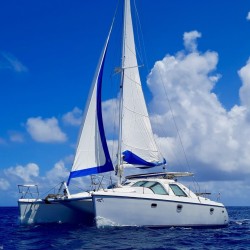 Filet de catamaran - Privilège - Privilège 37