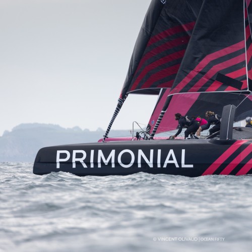 LOFTNETS Partner der Ocean Fifty Primonial