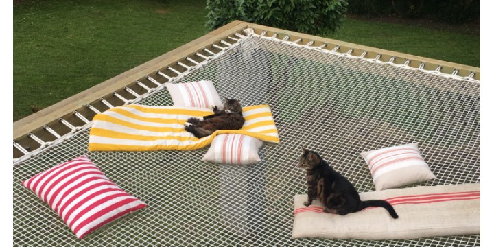 2 Katzen auf einem Außennetz LOFTNETS
