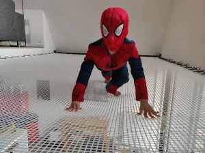 Spiderman sur sa toile 