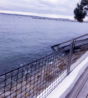  Catamaran external net railing