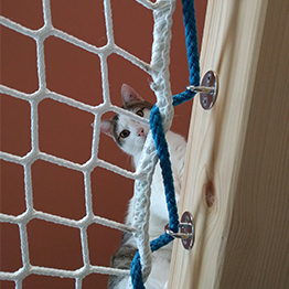 Hammock floor with blue rope